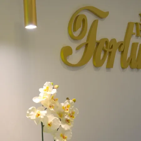 Fortuna فندق 4*